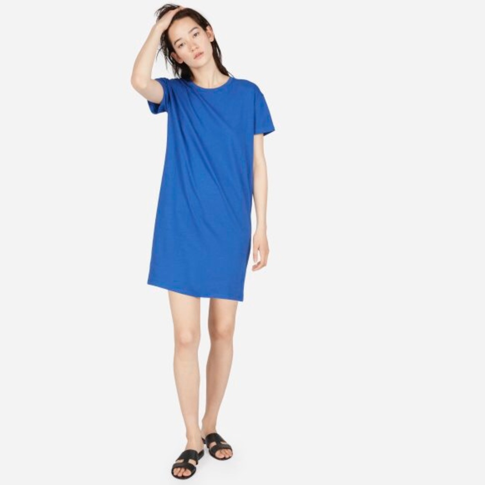 Everlane Box Cut T-shirt Dress
